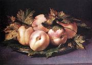 FIGINO, Giovanni Ambrogio Still-life with Peaches and Fig-leaves fdg oil painting